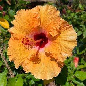 Meet your Posher, Yvonne